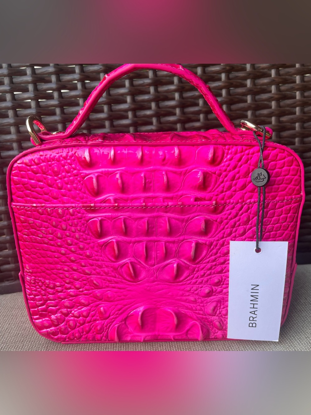 NWT BRAHMIN TORI in AFFECTION MELBOURNE OMBRE - Picture 3 of 17
